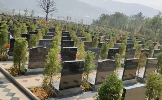 1660802506119068.png 下载 (8).png