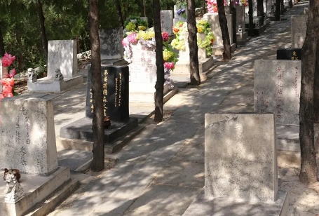1660879167197085.png 下载 (1).png