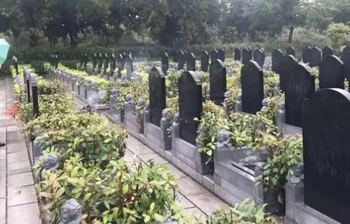1660981830109197.png 下载 (2).png