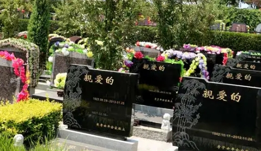 1661839935565824.png 下载 (1).png