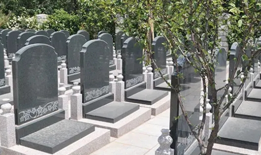 1661917023689240.png 下载 (8).png