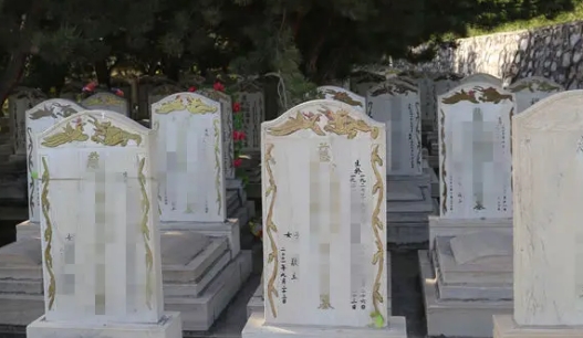 1661917056332635.png 下载 (9).png