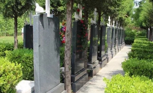 1662088493137013.png 下载 (8).png