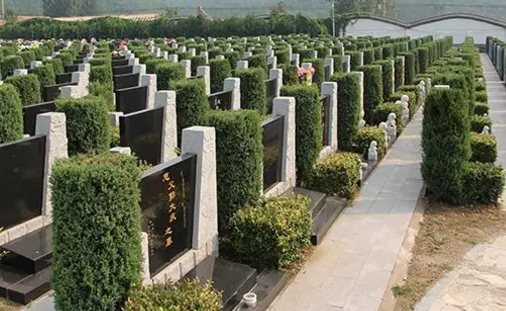 1663125398126797.png 下载 (3).png