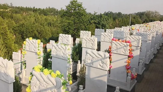 1663224876493187.png 下载 (5).png