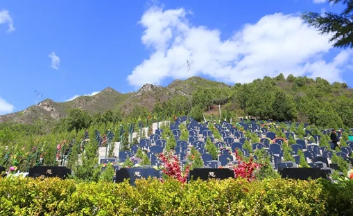 下载 (5).png