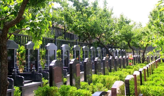1663394517186973.png 下载 (4).png