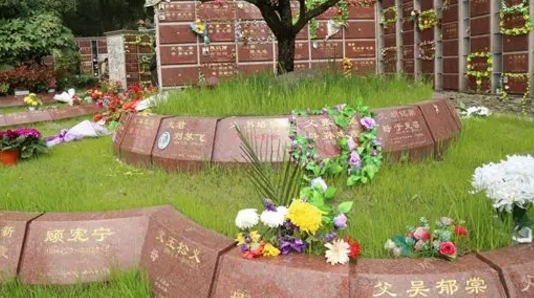 1663988845697243.png 下载 (10).png
