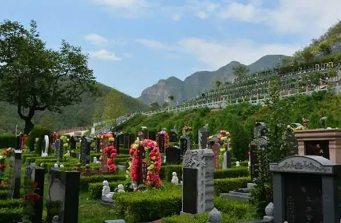 1664074495363919.png 下载 (1).png