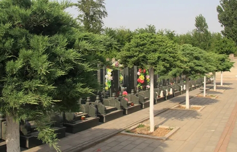 1664420873106103.png 下载 (6).png
