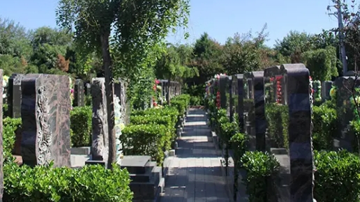 下载 (4).png