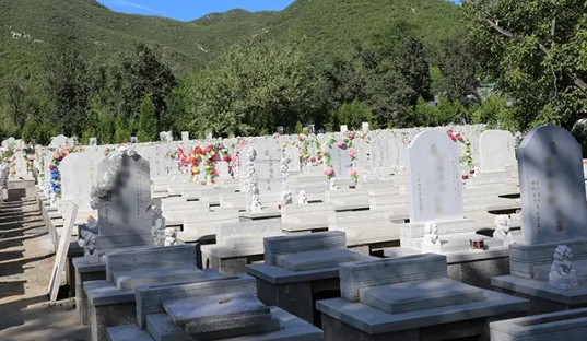 1664506172172471.png 下载 (7).png