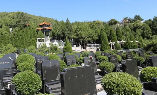 1664852841210296.png 下载 (1).png