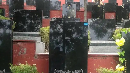 1665469905237062.png 下载.png