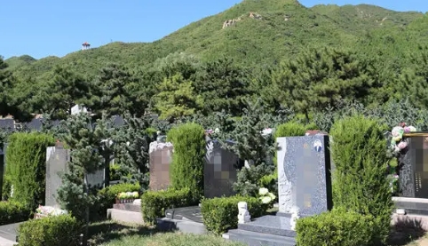 1665470035105019.png 下载 (2).png