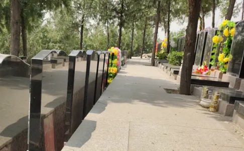 1665541248863045.png 下载 (2).png