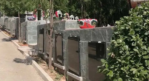 1665541388113961.png 下载 (6).png