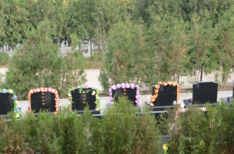 1665640850114752.png 下载 (3).png