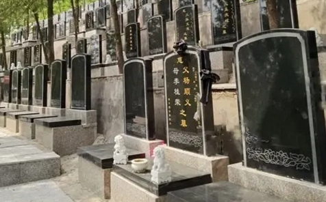 1665640911174752.png 下载 (5).png