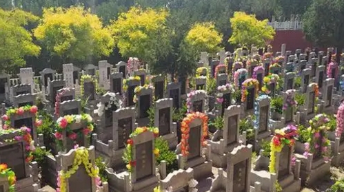 1665641033925398.png 下载 (9).png