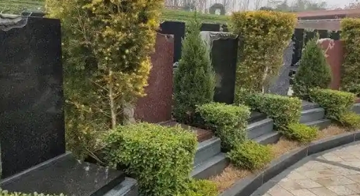 1665715836611911.png 下载 (2).png