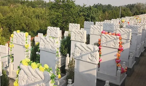 1665715934946914.png 下载 (5).png