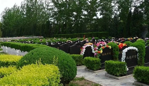 1665820131382939.png 下载.png