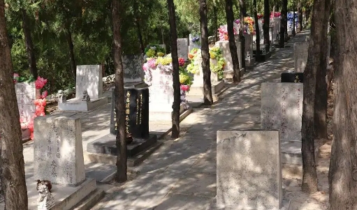 1665820164185079.png 下载 (1).png