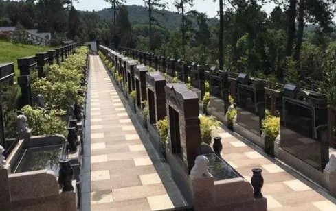 1665890813239041.png 下载 (1).png