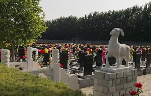 1665977412688508.png 下载 (2).png