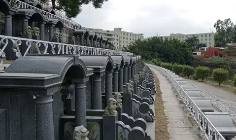 1667196881130752.png 下载 (2).png