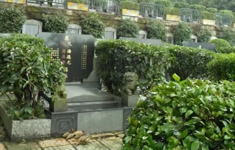 1667197059116852.png 下载 (9).png