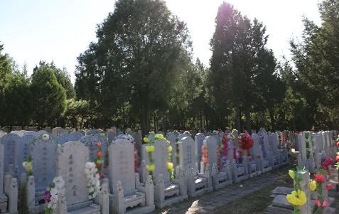 1667456077870102.png 下载.png