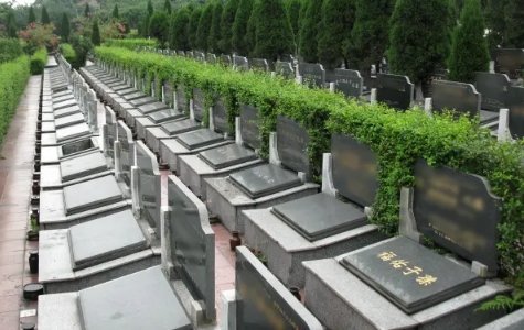 1667530061491939.png 下载 (1).png