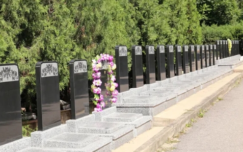 1667530092139444.png 下载 (2).png