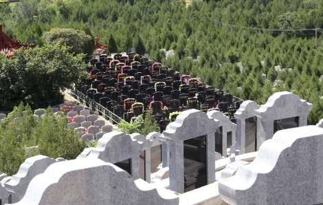 1667530208779047.png 下载 (5).png