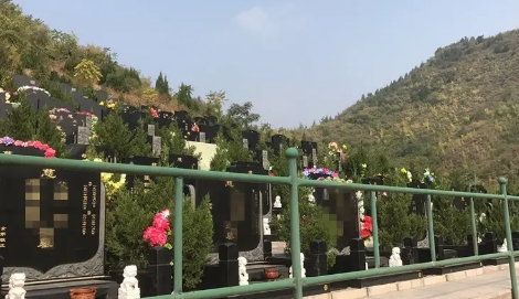 下载 (3).png