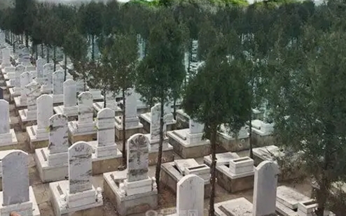 1667706196727452.png 下载 (5).png