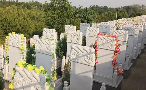 1667706291846004.png 下载 (8).png
