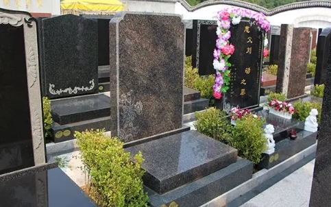 1668138784150654.png 下载 (7).png