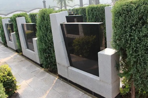 1668138825151730.png 下载 (6).png