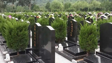 1668233998177290.png 下载 (6).png