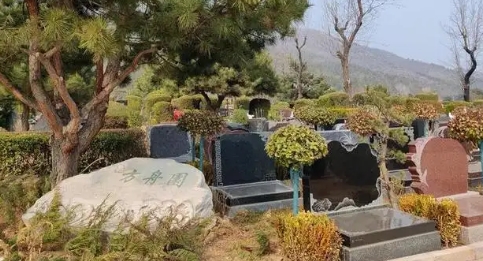 1668311190249067.png 下载 (1).png