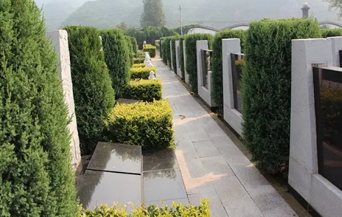 1668311327532303.png 下载 (5).png
