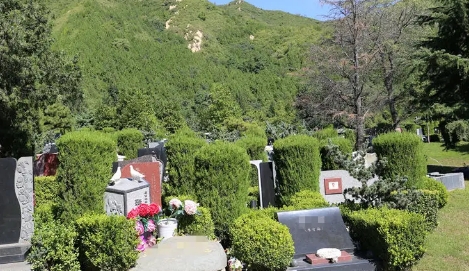 1668311388130429.png 下载 (7).png