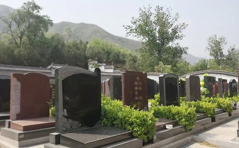 1668311419277770.png 下载 (8).png