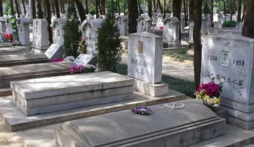 1668840490156205.png 下载 (3).png