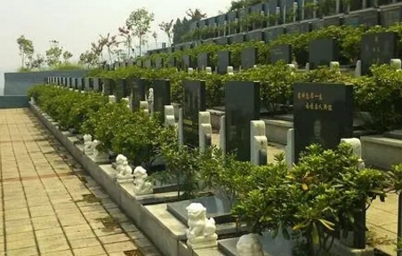 1668913573940846.png 下载 (8).png