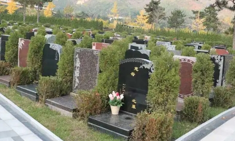 1670401158133415.png 下载 (1).png
