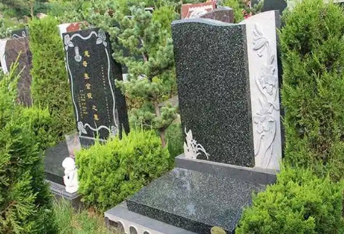 1670401302562124.png 下载 (6).png